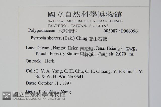 盧山石葦藏品圖，第2張