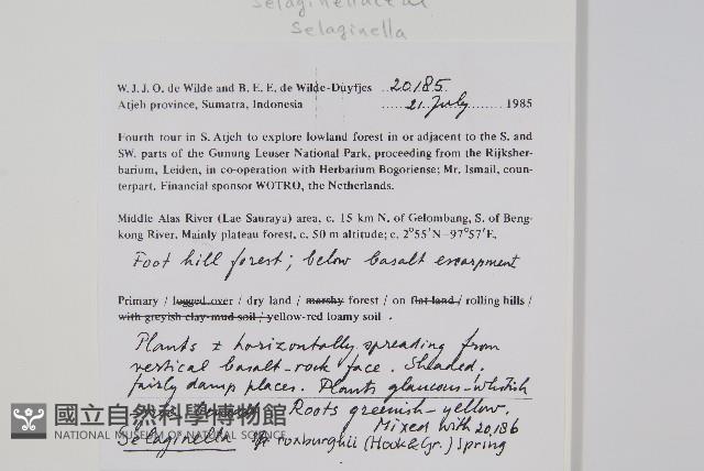 登錄號:P005596藏品圖，第2張