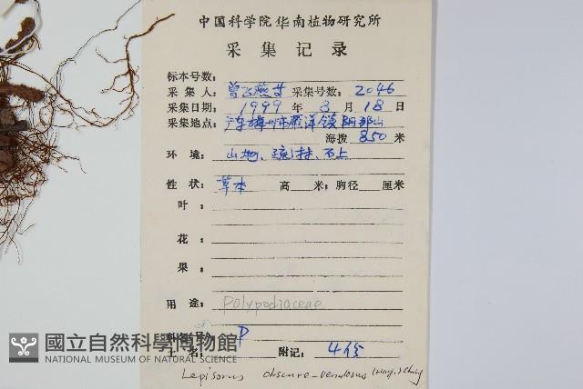 粵瓦葦藏品圖，第2張