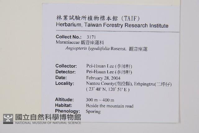 Vessel fern Collection Image, Figure 2, Total 2 Figures