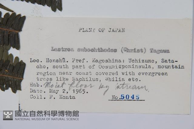 登錄號:P005736藏品圖，第2張