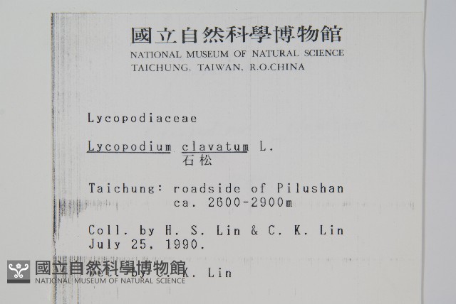 石松藏品圖，第2張