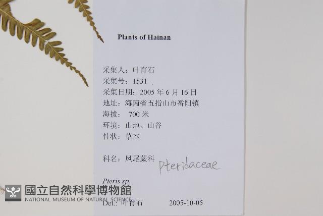 登錄號:P012536藏品圖，第2張