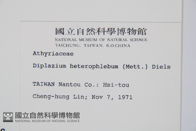 登錄號:P000336藏品圖，第2張