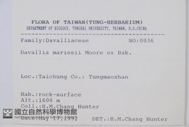 海州骨碎補藏品圖，第2張