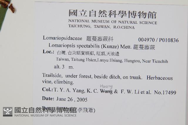 Accession Number:P010836 Collection Image, Figure 2, Total 2 Figures