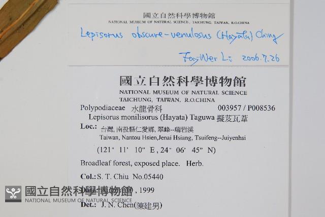 粵瓦葦藏品圖，第2張