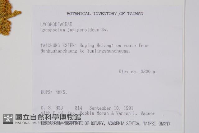 玉柏藏品圖，第2張