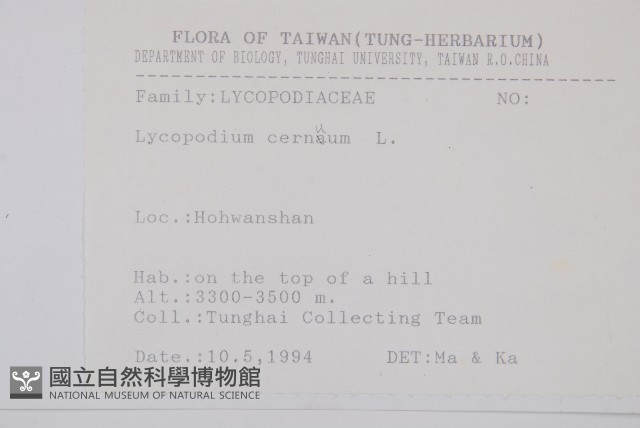 過山龍藏品圖，第2張