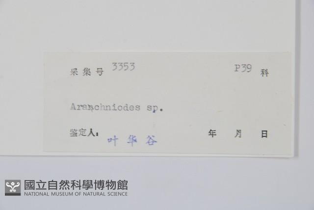 登錄號:P005566藏品圖，第2張