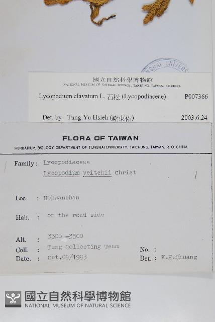 石松藏品圖，第2張