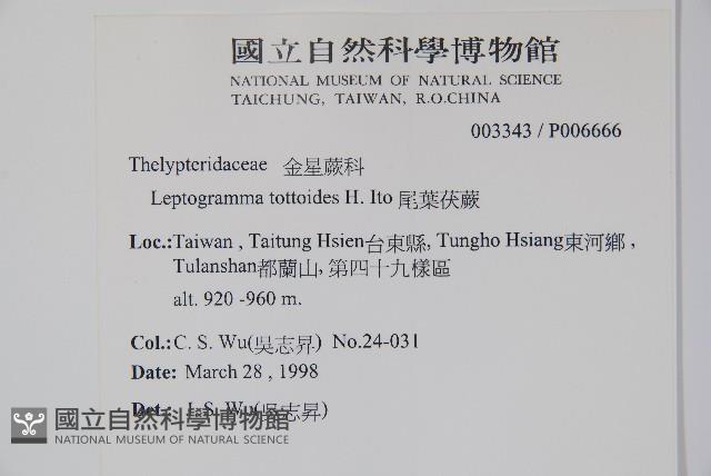 假蹄蓋蕨、東洋蹄蓋蕨藏品圖，第2張