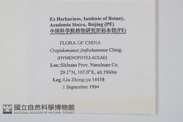 登錄號:P005666藏品圖，第2張