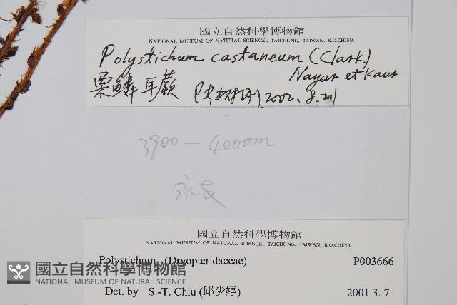 Accession Number:P003666 Collection Image, Figure 2, Total 2 Figures