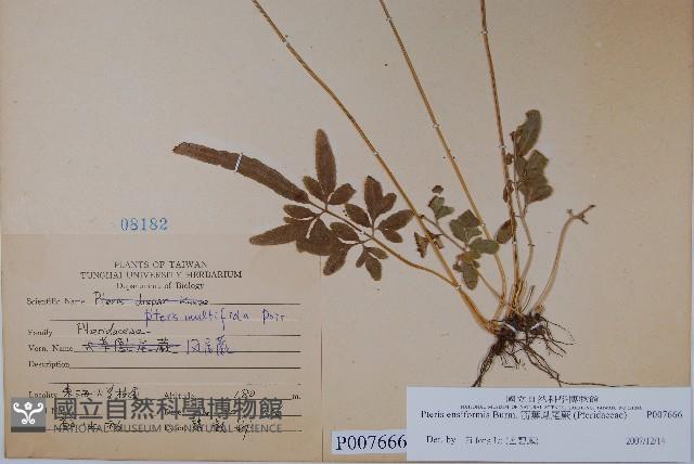 Sword brake Collection Image, Figure 2, Total 2 Figures