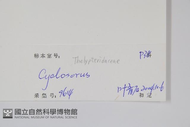 登錄號:P010466藏品圖，第2張