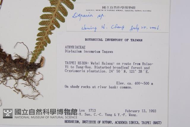 登錄號:P002946藏品圖，第2張