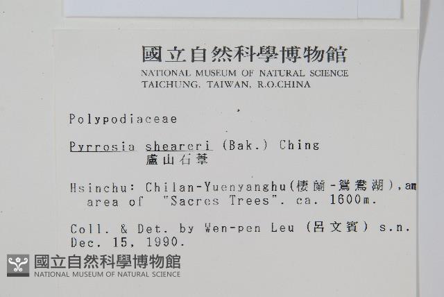 盧山石葦藏品圖，第2張