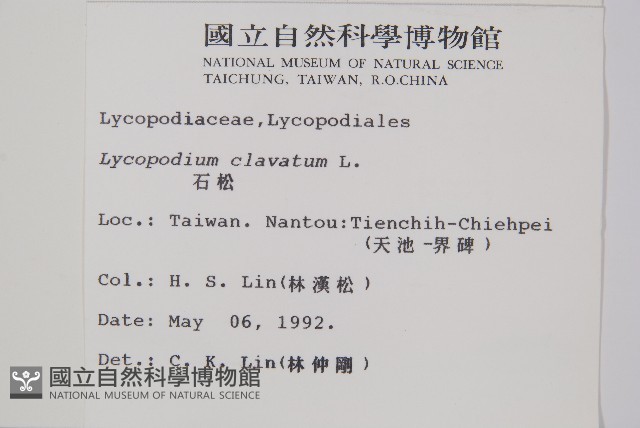 玉山石松藏品圖，第2張