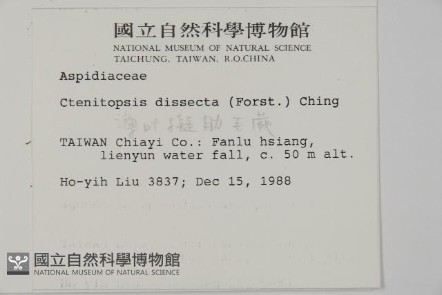 Accession Number:P000046 Collection Image, Figure 2, Total 5 Figures