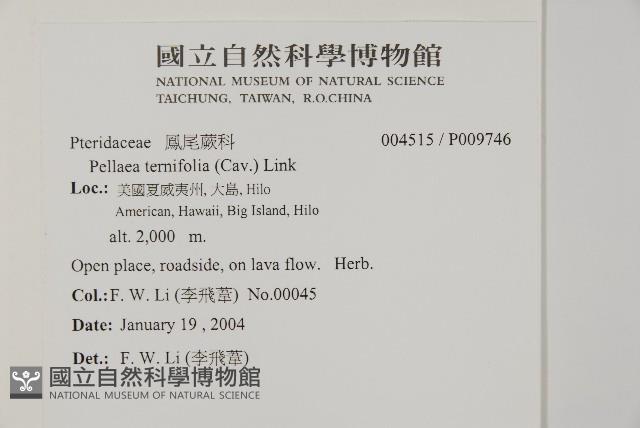 登錄號:P009746藏品圖，第2張