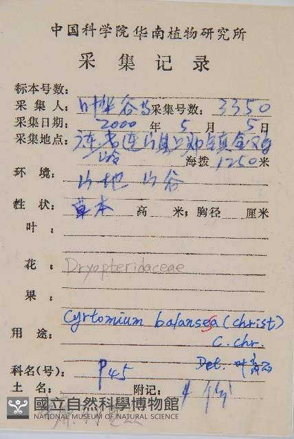 鐮羽貫眾藏品圖，第2張