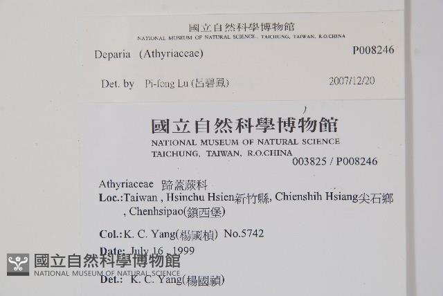 登錄號:P008246藏品圖，第2張