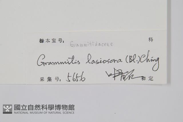 登錄號:P010346藏品圖，第2張