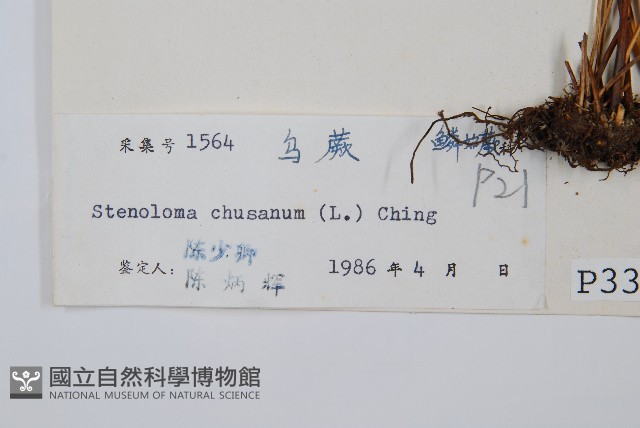 烏蕨藏品圖，第2張
