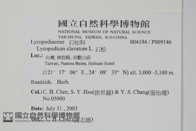 石松藏品圖，第2張