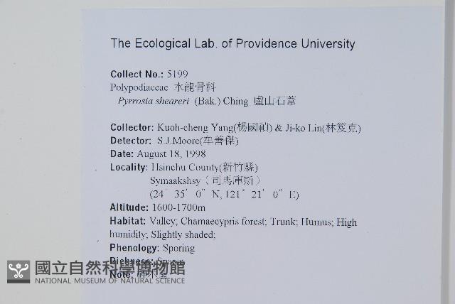 盧山石葦藏品圖，第2張