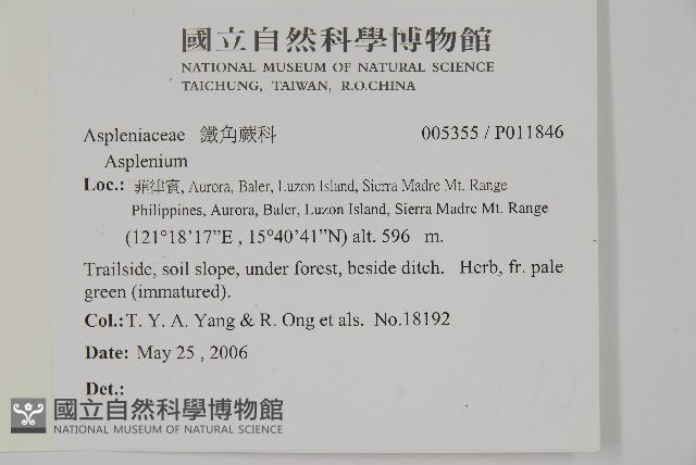 登錄號:P011846藏品圖，第2張