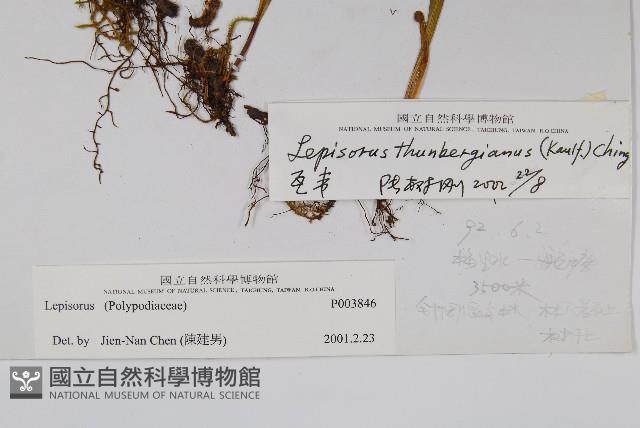 瓦葦藏品圖，第2張