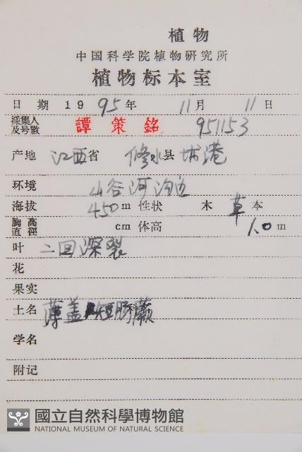 薄蓋短腸蕨藏品圖，第1張