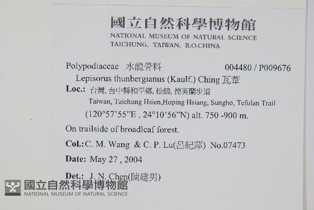 瓦葦藏品圖，第2張