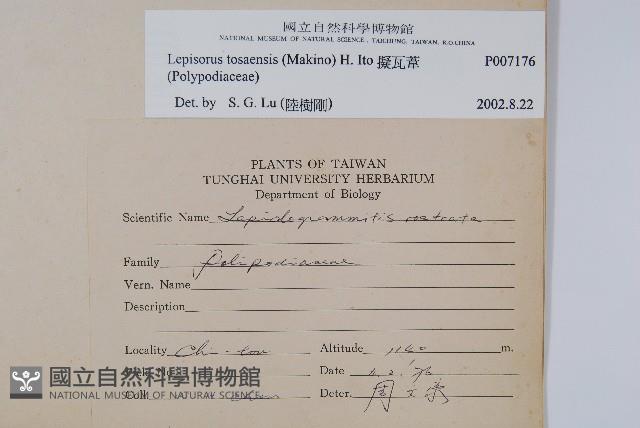 擬瓦葦藏品圖，第2張