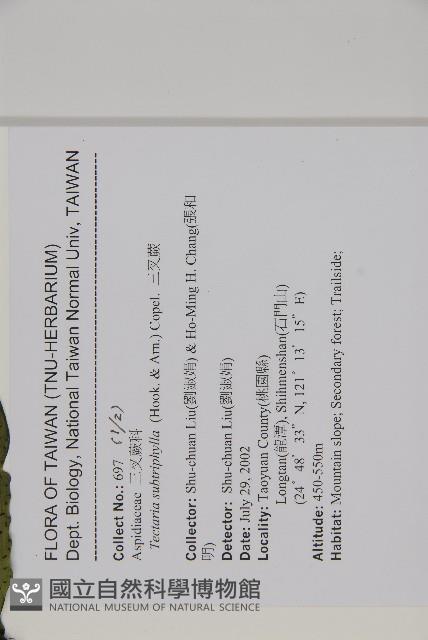 三叉蕨藏品圖，第2張