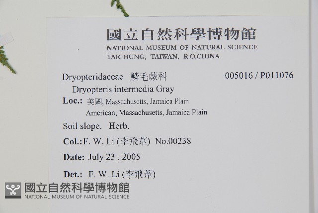 登錄號:P011076藏品圖，第2張