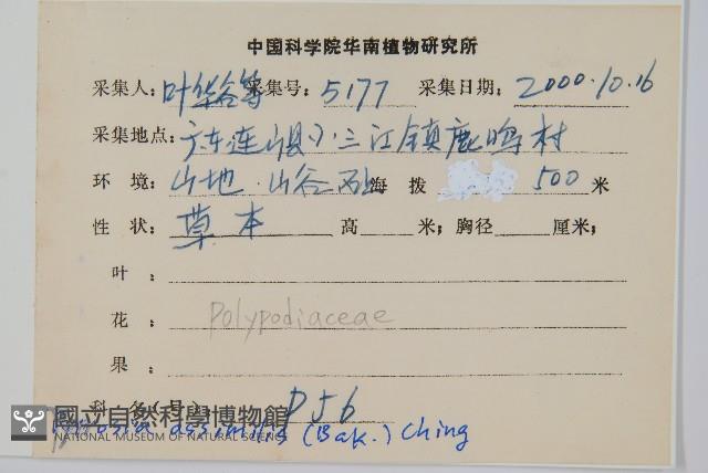 Accession Number:P008776 Collection Image, Figure 2, Total 2 Figures