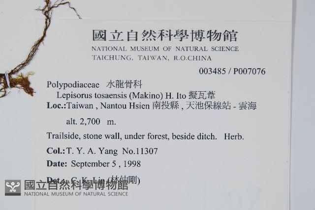 玉山瓦葦藏品圖，第2張