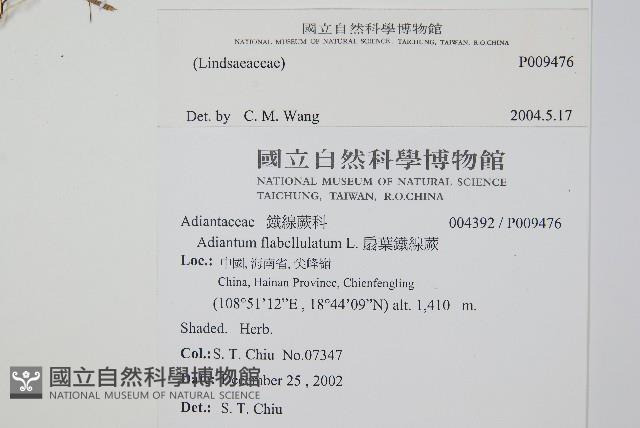 登錄號:P009476藏品圖，第2張