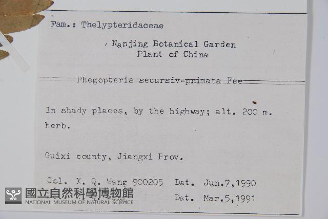 登錄號:P003476藏品圖，第2張