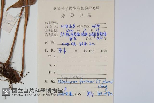 Accession Number:P008976 Collection Image, Figure 2, Total 2 Figures