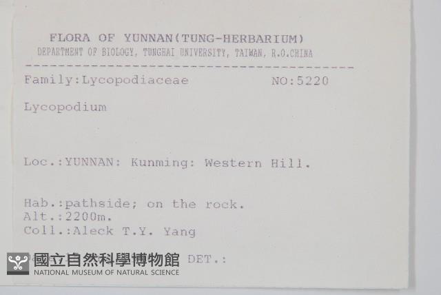 登錄號:P004276藏品圖，第2張