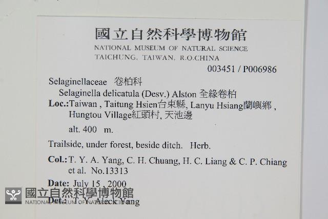 Accession Number:P006986 Collection Image, Figure 2, Total 2 Figures