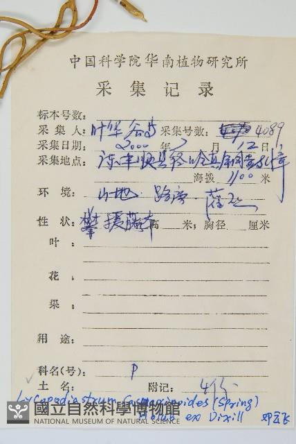 藤石松藏品圖，第2張