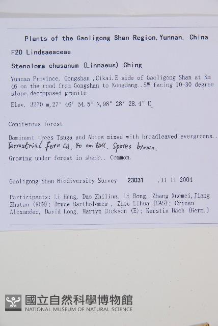 登錄號:P010786藏品圖，第2張