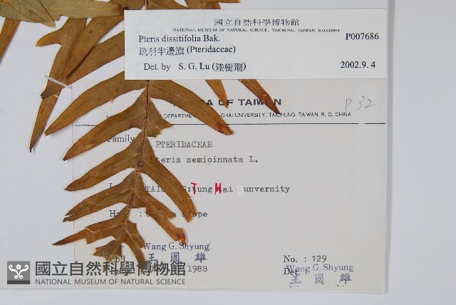 疏羽半邊旗藏品圖，第2張