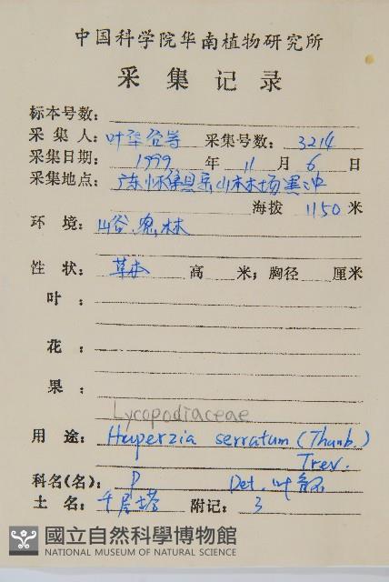 千層塔藏品圖，第2張