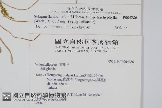 登錄號:P004286藏品圖，第2張